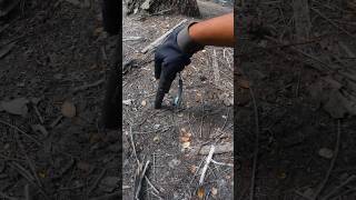 quotMetal Detector Magic Rare Findquot metaldetecting shorts [upl. by Surat393]