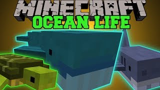 Minecraft OCEAN LIFE NEW OCEAN MOBS CREATE YOUR OWN AQUARIUM Mod Showcase [upl. by Leinadnhoj]