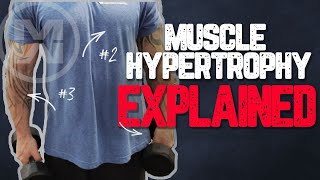 Muscle Hypertrophy Explained How to get MASSIVE Gains [upl. by Blaire]