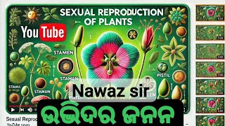 Sexual Reproduction of Plants  Pollination  biology class [upl. by Cory]