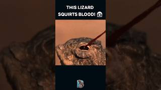 3 Animal Defenses You Won’t Believe Exist—MindBlowing Survival Skills 🐟🦎💥 Shorts [upl. by Adamski]