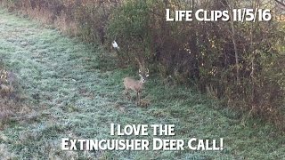 Extinguisher Deer Call Works Heres proof [upl. by Celestine]