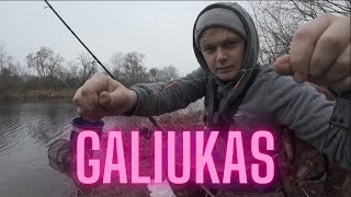 🎣 Žvejyba prie Nevėžio Kuojos strepečiai ir šapaliukai 🌊 [upl. by Martainn]