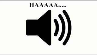 Kamehamehaaaa  meme sound effects HD [upl. by Nahshunn]