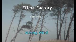 strong wind sound effect [upl. by Iphlgenia]