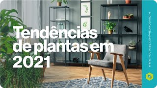 Tendências no cultivo de plantas em 2021 [upl. by Johiah]