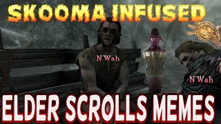 Funny Elder Scrolls Meme Compilation [upl. by Nuahsak311]