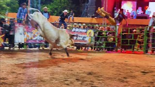 Así es la FUERZA de un TORO  lo LEVANTÓ a más de 2 METROS  RANCHO LA PERLA  HUEHUETLÁN EL CHICO [upl. by Salvadore485]