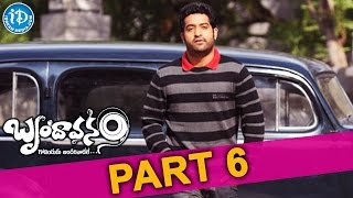 Kota Srinivasa Rao Highlight Scenes  Brindavanam Movie Scenes  Jr Ntr  HD Cinema Official [upl. by Hugon]