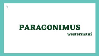 Paragonimus westermani  Lung fluke  Paragonimiasis  Morphology Life Cycle Diagnosis amp Treatment [upl. by Vaientina288]