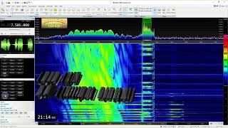 7505 Khz S6 Number Station [upl. by Nnayelsel]