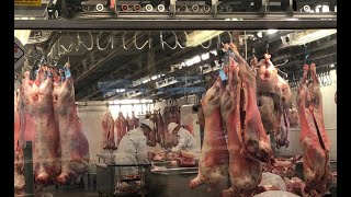 wholesale meat market in london [upl. by Franny]