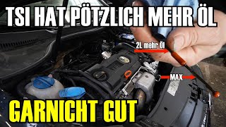 Nach Motorschaden TSI Phänomen geht in die nächste Runde  Wo kommt das ganze Öl her [upl. by Maye]