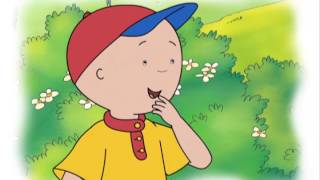 Caillou S04 E13  Captain Caillou  The Loudest Noise  Caillous First Wedding [upl. by Areivax]