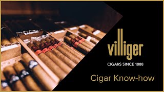 VILLIGER Cigar Knowhow Part 2 with Cigar Expert [upl. by Yarb636]