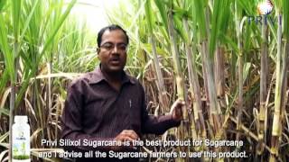 Privi Silixol Sugarcane  Farmer Testimonials [upl. by Nylecsoj]