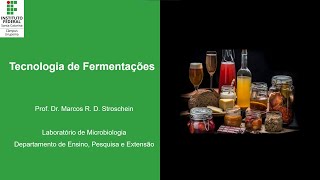 Processos Fermentativos [upl. by Lener86]