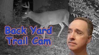 Back Yard Trail Cam Racoons Deer Skunks and Rabbits [upl. by Gnart454]