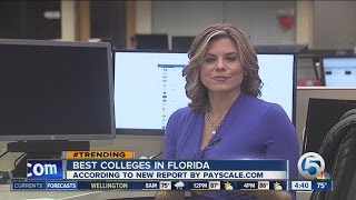 PayScalecom releases list of colleges with the best value [upl. by Beare141]