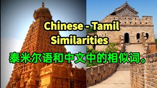 Similarities between Chinese and Tamil [upl. by Kristine]