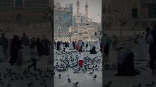 Kar do karam shorts nasheed naat shortfeed islam status jumamubarak love trending tiktok [upl. by Eelyam]