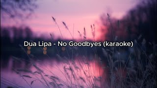 Dua Lipa  No Goodbyes karaoke [upl. by Ardek906]