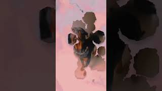 rottei big dog rottweiler 2024 rotwelier pitbull rottweil doglover shorts funny [upl. by Sine]