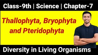 Thallophyta Bryophyta Pteridophyta  Diversity in Living Organisms class9 science ncert cbse [upl. by Leaffar412]