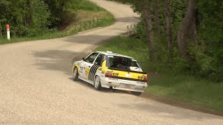 Rallye Du Laragnais VHC 2024  Day2  Show And Attack [upl. by Nathanil]