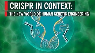 CRISPR in Context The New World of Human Genetic Engineering [upl. by Aicnilav]