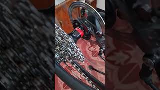 NOVATECH  D792SB HUB SOUND  gravelbike [upl. by Alexandr]