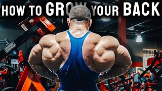 Full Back Workout  Explained [upl. by Brenza]