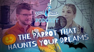 The Parrot That Haunts Your Dreams  S02 E03 [upl. by Adnola]