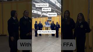 5 Farm Vocab in Spanish puertorico nationalffa ffa chickens [upl. by Acirfa]