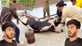 Qurbani Vlog 😍 Zohaib Sabir Vlogs [upl. by Ellerrehs]