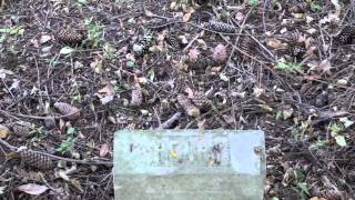 Klingler Cemetery in the Midewin National Tallgrass Prairie [upl. by Palm]