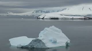 ANTARCTICA PENINSULA Day One  DALLMANN BAY and PARADISE HARBOUR February 24 2024 [upl. by Zetniuq]