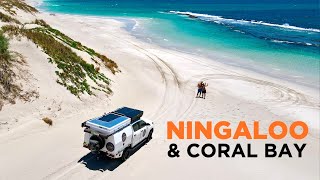 NINGALOO REEF AUSTRALIA  Better than GREAT BARRIER Road Trip CORAL BAY [upl. by Hillyer562]