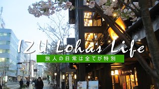 【地方移住生活】54 旅人の日常は全てが特別／野菜収穫／断捨離／一人旅 移住生活 暮らしvlog 旅 [upl. by Llesig]