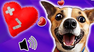 ❤️ Los 7 SONIDOS Para Perros que más AMAN ❤️ [upl. by Buckels]