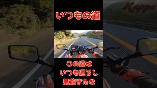 いつもの道！この道はいつも通るし見飽きたな！いつもの道 見飽きた 川柳 ジェイド250 [upl. by Yelda109]