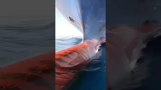 Dangerous North Sea clips😱🌊 interesting clips dangerous crazy stunt adventure shorts facts [upl. by Duwad]