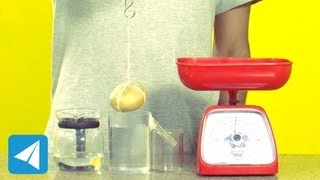 Archimedes Principle demonstration  Buoyancy  Physics [upl. by Ydde]