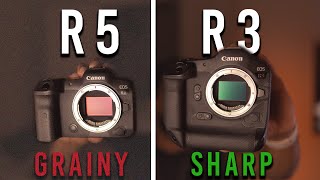 Canon R5 vs R3 Review Worth it in 2024 [upl. by Isahella]