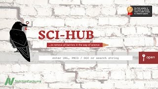 Sci Hub Opens Up a World of Knowledge [upl. by Kimbra292]