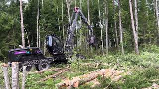 Demo in Sweden with Logset 8H GTE Hybrid and TH55 33 [upl. by Buchheim]