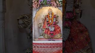 Mata Rani  Vaishno Devi Yatra  Mata Rani Dharshan Shorts ytshorts vaishnodevi [upl. by Naujled]