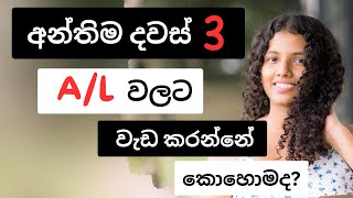 අන්තිම දවස් 3 දි AL වලට ලෑස්ති වෙන්නේ කොහොමද [upl. by Tilly]