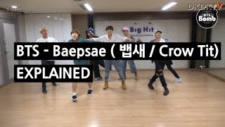 BTS  BAEPSAE 뱁새  Crow Tit Explained by a Korean [upl. by Irrehc]