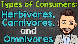 Types of Consumers  Herbivores Carnivores and Omnivores [upl. by Odnamla402]